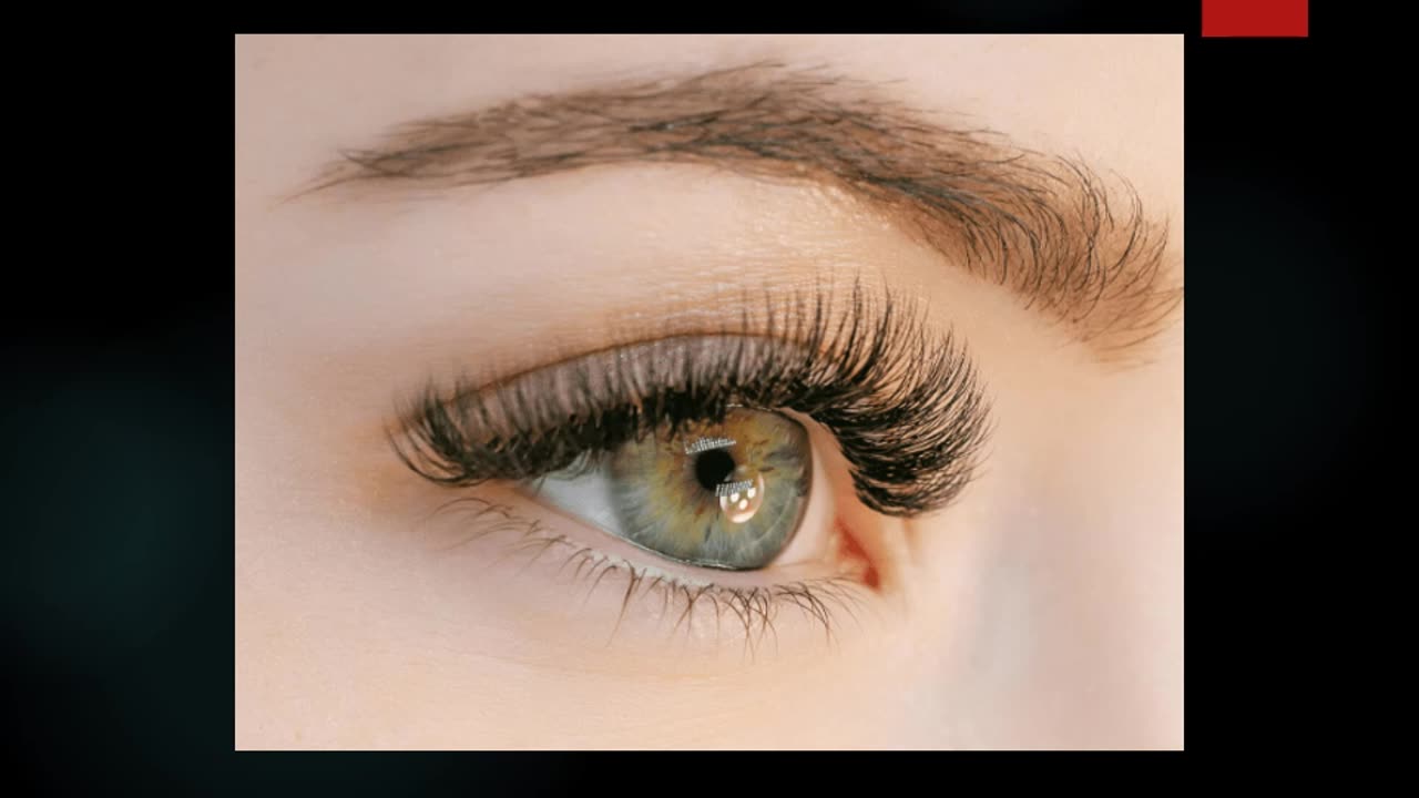 Best Lash Extensions in Courtown East