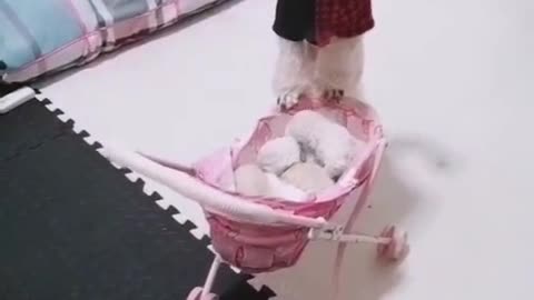 best friend