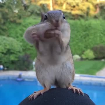 MORNING + AFTERNOON OR EVENING WORLD 🌎 🙏🙏