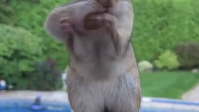 MORNING + AFTERNOON OR EVENING WORLD 🌎 🙏🙏