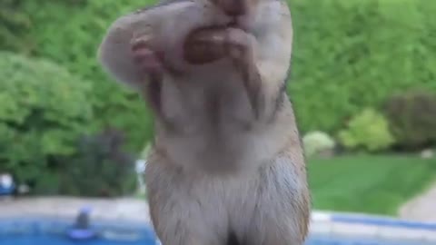 MORNING + AFTERNOON OR EVENING WORLD 🌎 🙏🙏