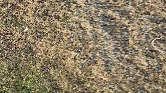Short off-roading with motorcycle
