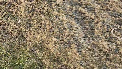 Short off-roading with motorcycle