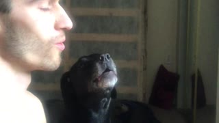 Dog Joins in on Morning Meditation