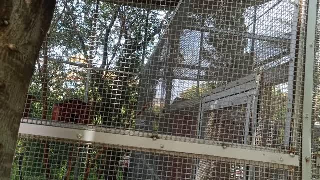 Ever see a squirrel?