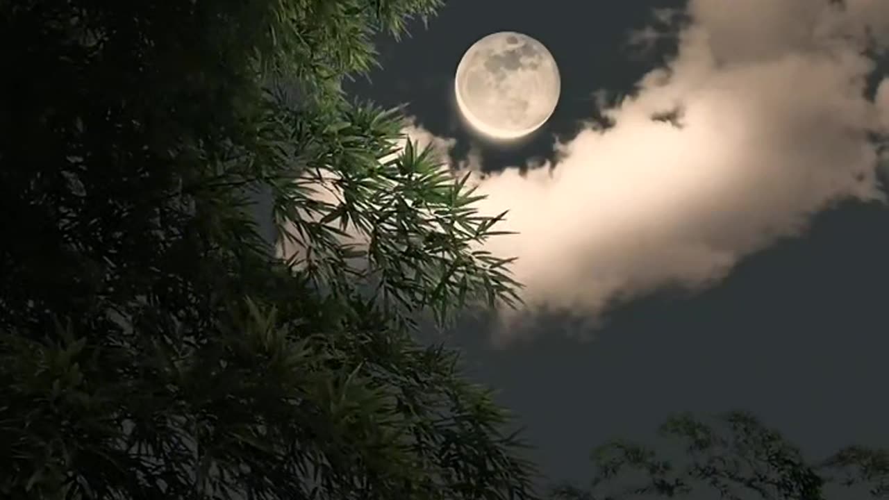 Night Moon View | Sky Moon Video