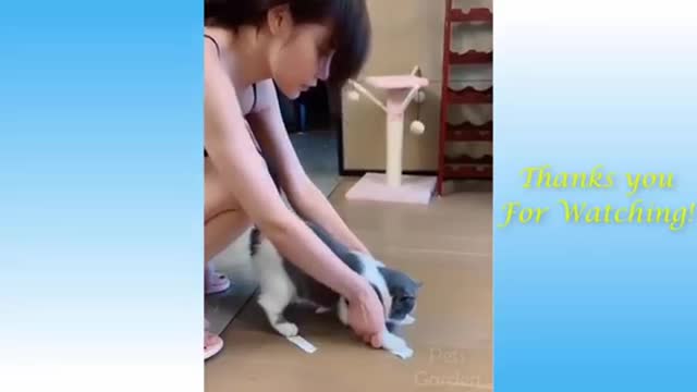 Funny Cats lifestyle with their owners