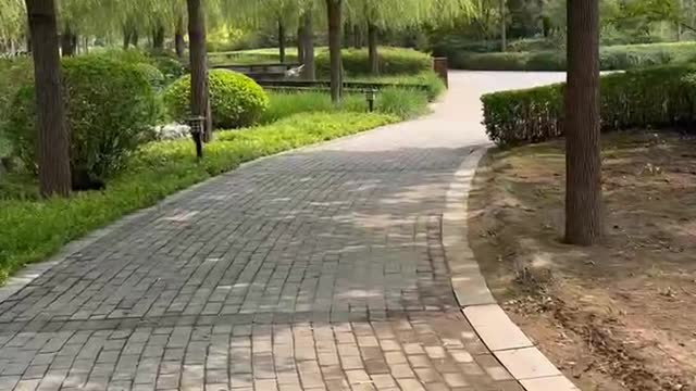 A path in the park