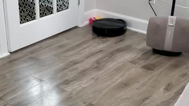 Shark IQ Xl Self-empty