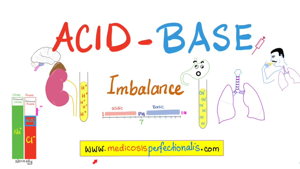 Acid-Base (Part 1)