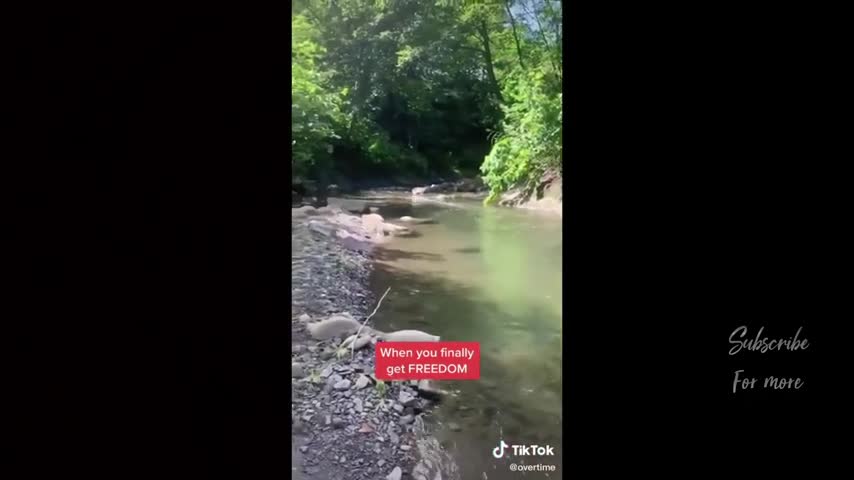 Videos Graciosos - Personas haciendo cosas graciosas al aire libre