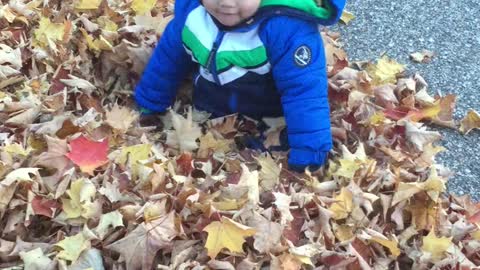 Playing In Leaves