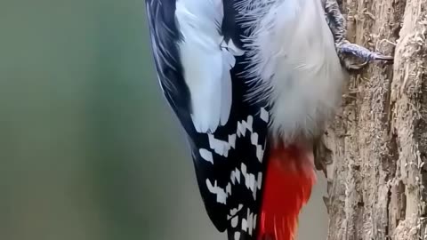 Feel the power of nature beauty view