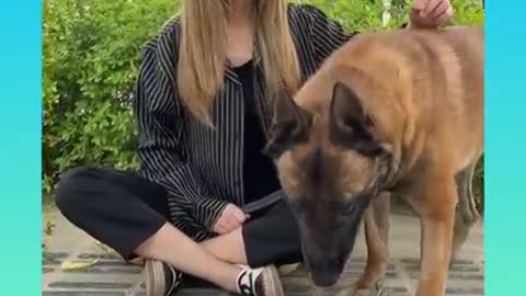 Smart dog 🐕 with funny comedy