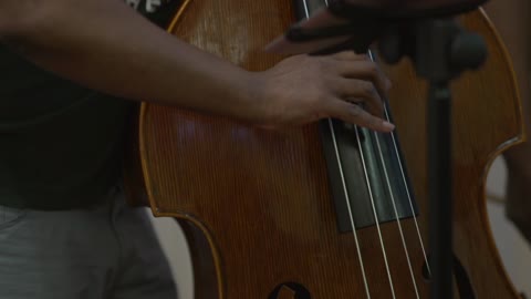 music | double bass | raw 2