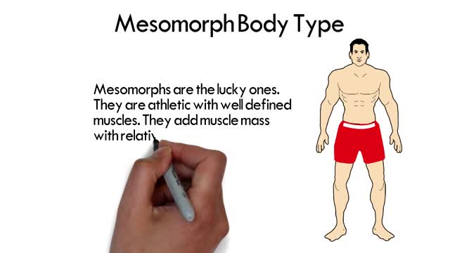 Muscle Building & male health and wellness