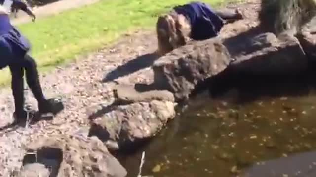 Girl in blue school uniform falls on rocks