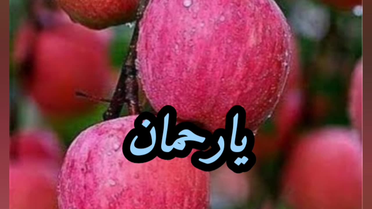 Best Urdu Naat