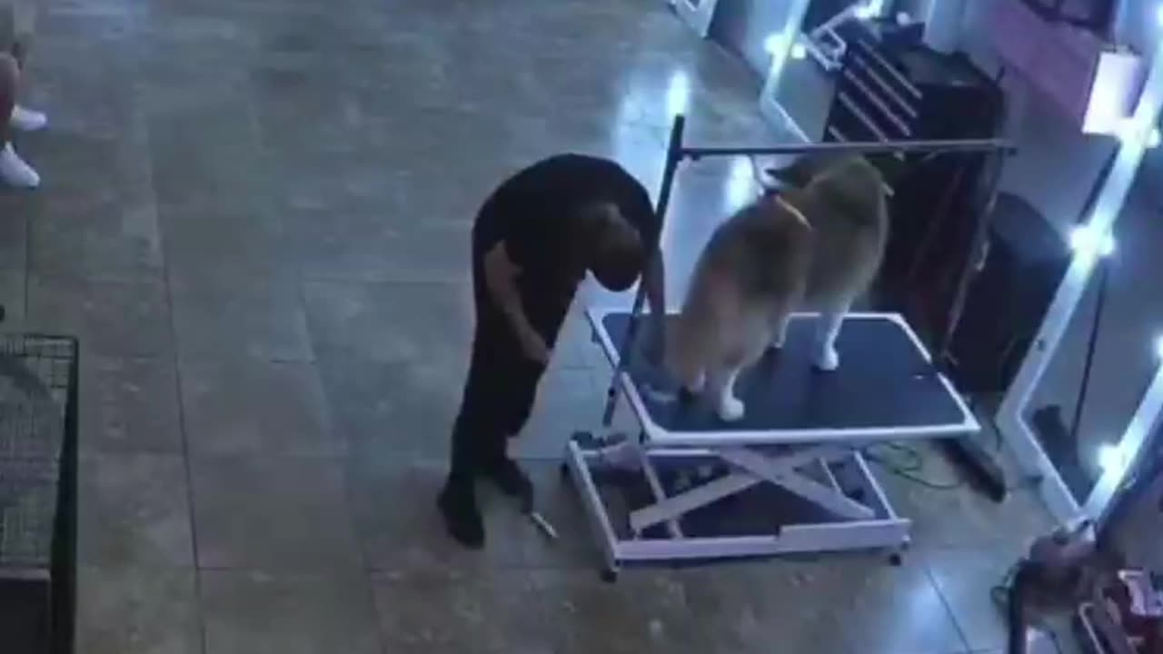 @Funny She don't bite but hurts in other ways
