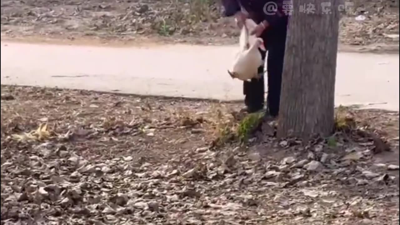 FUN
