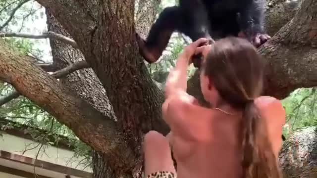 Powerful monkey helps the man to climbing the tree🤣