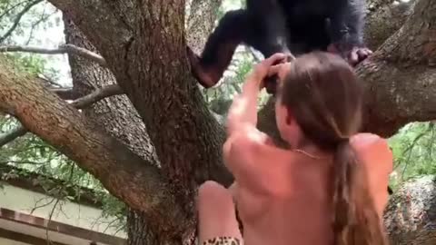 Powerful monkey helps the man to climbing the tree🤣