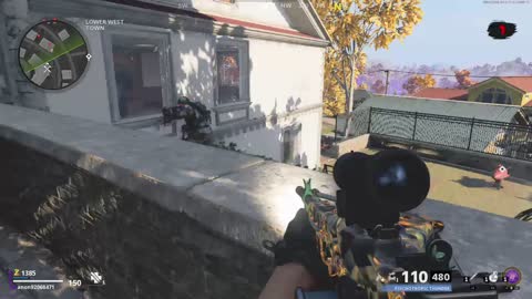 Call of duty zombies