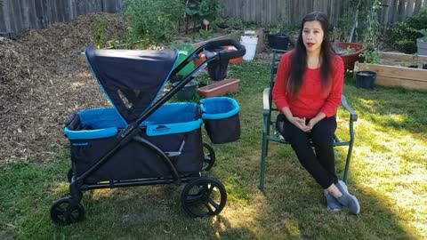 REVIEW: BabyTrend Stroller Wagon