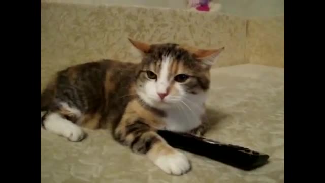 https://youtu.be/fPtKcWIGTBg