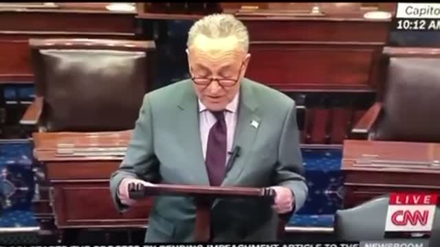 Make NO Mistake .... Chuck Schumer Is Preoccupied With The ERECTION!