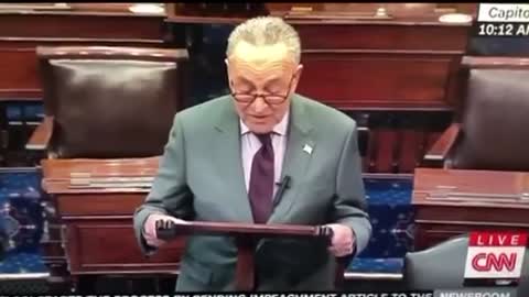 Make NO Mistake .... Chuck Schumer Is Preoccupied With The ERECTION!