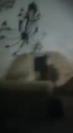 Palestinian militants accidently kill an Al-jazeera journalist