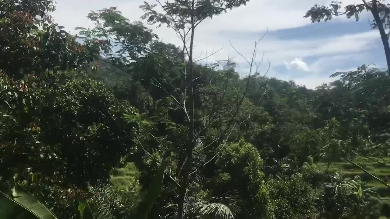 Walking Curug Heju River Bogor west Java Indonesia