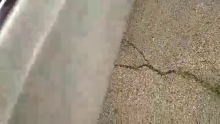 Grandma Hitting Switches in Low Rider