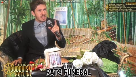 Jonathon Hills gets ear offed (x8) and opened the rat's casket/coffin