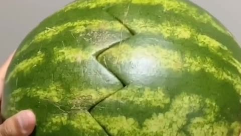 hasky watermelon