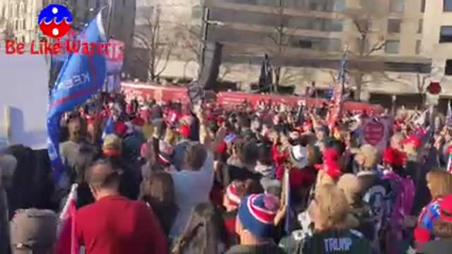 Thousands of Peaceful Mixed Race People at Trump March in DC