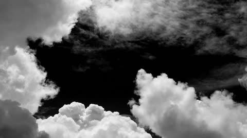 An introduction of the beauty in black and white videos