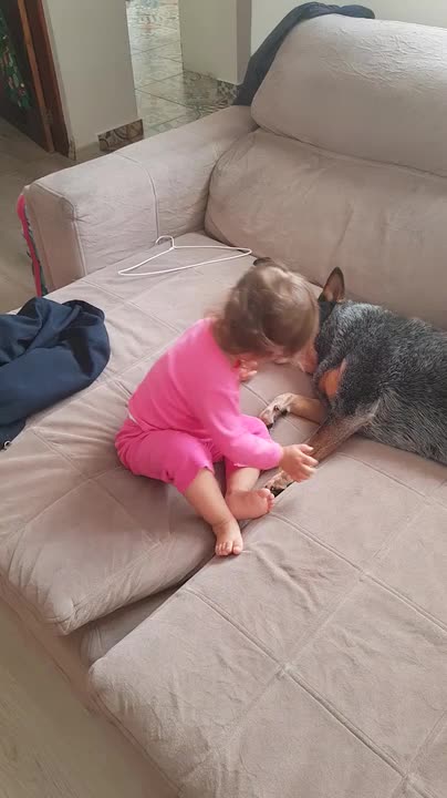 baby girl hugs australian cattle dog on couch - cattle dog leads rescuers to lost little girl