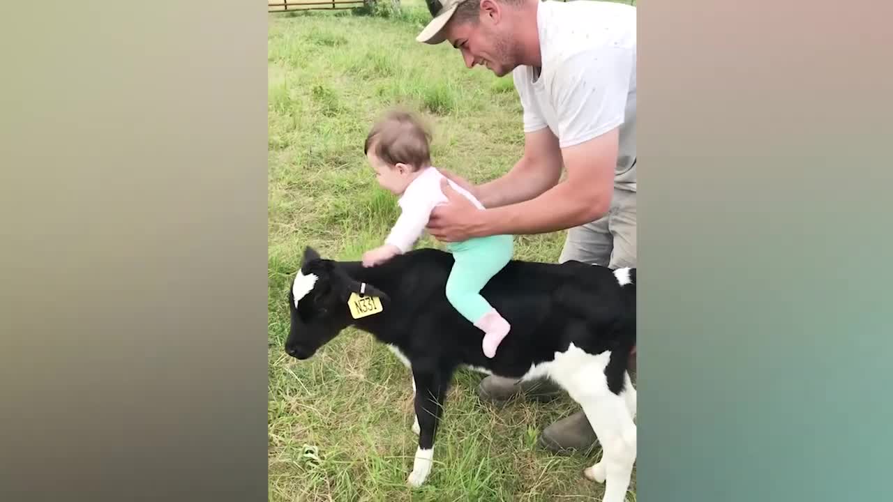 Funniest Moments Babies Meet Animals | A Day at The Farm with Baby