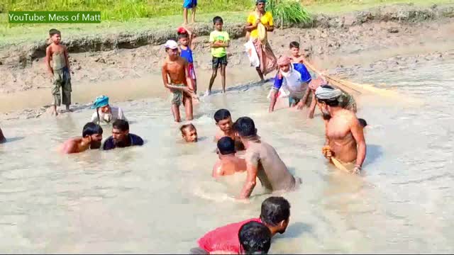 Amazing River Fishing/Village fishing Bangladesh