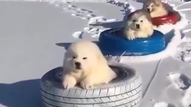 It's okay to just have one