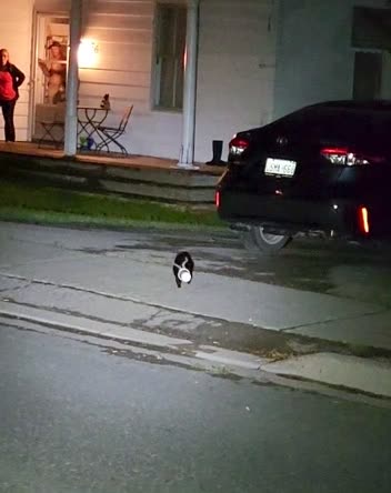 Littering might make a bigger stink than one might think