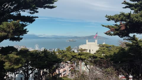 San Francisco vlog _ part 2 #vlog #sanfrancisco