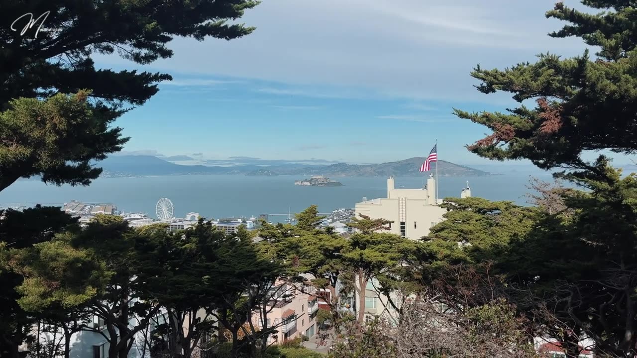 San Francisco vlog _ part 2 #vlog #sanfrancisco