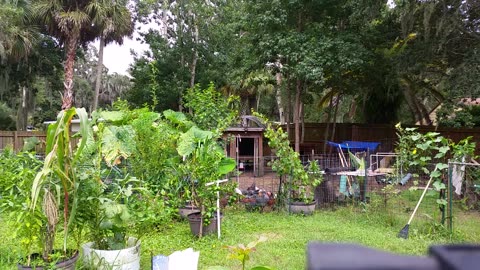 Big Storm Blowing 7-25-23