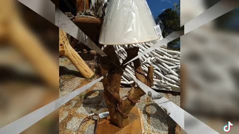 Driftwood and roots to handmade lights