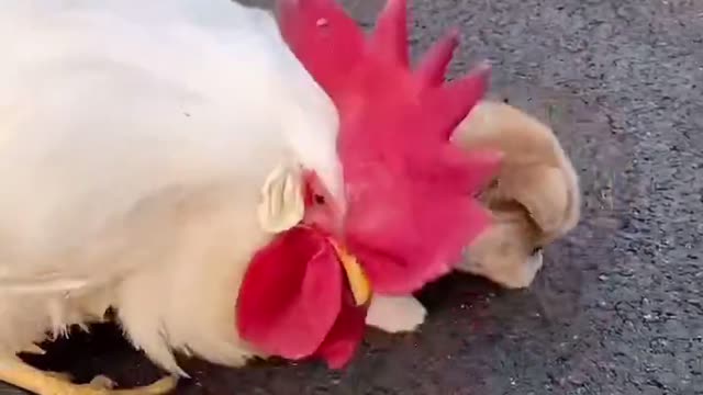 Don't tuch me