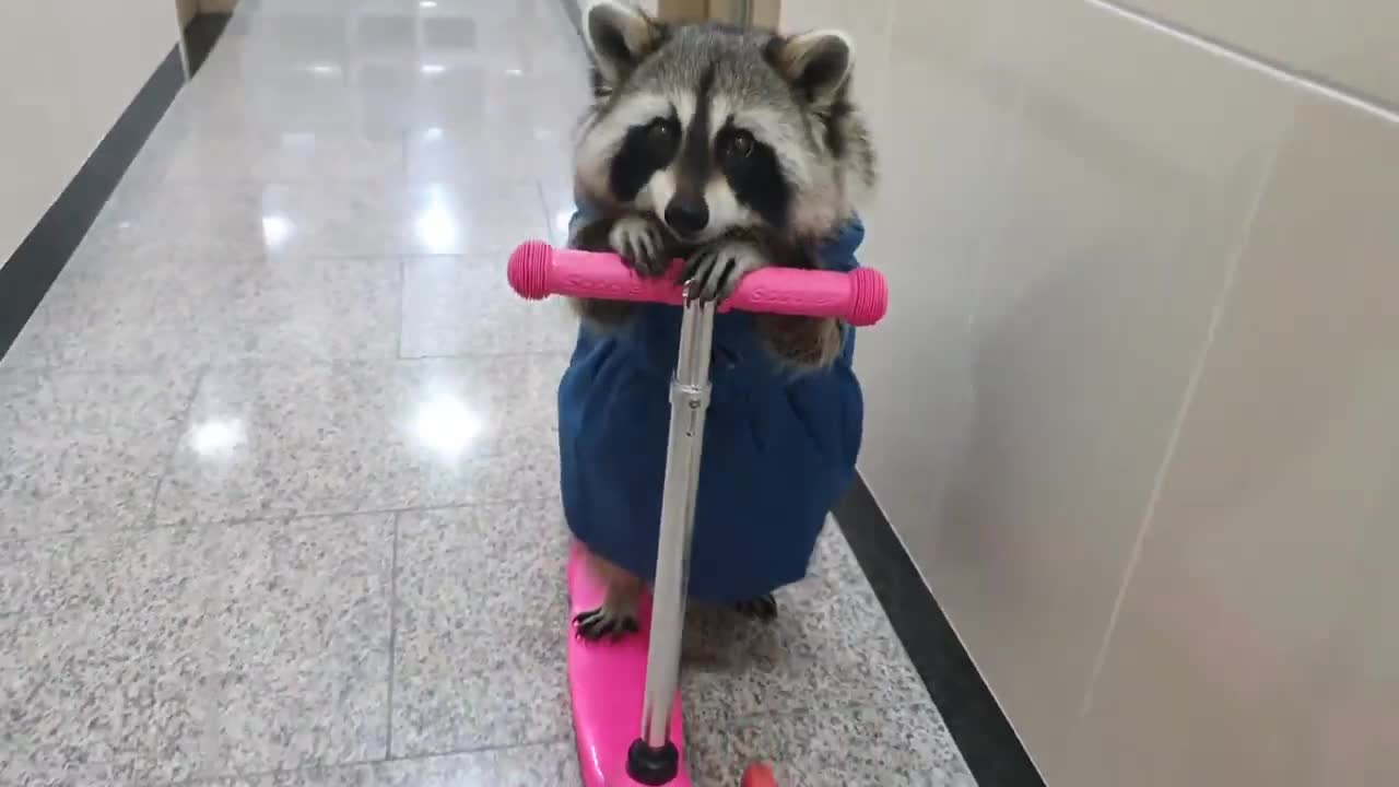 Dando un paseo