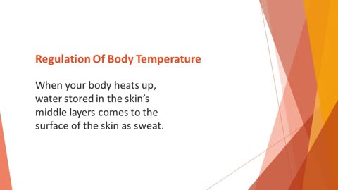 Healthy Habits 9